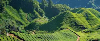 SRI LANKA