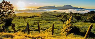 LA RÉUNION